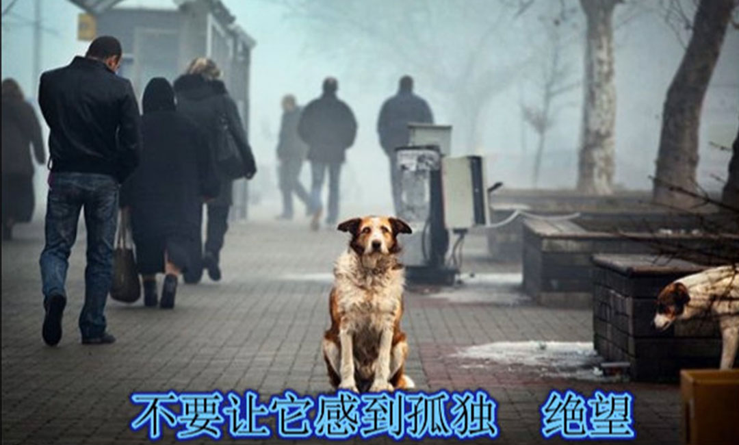 徐州徐州爱影圈微博微信转发案例